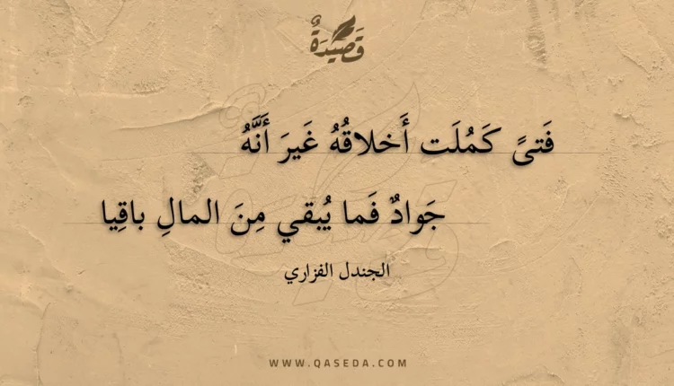 قصيدة فتىً كملت أخلاقه غير أنه