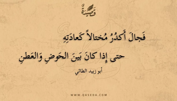 قصيدة فجال أكدر مختالا كعادته