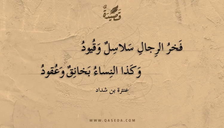 قصيدة فخر الرجال سلاسل وقيود