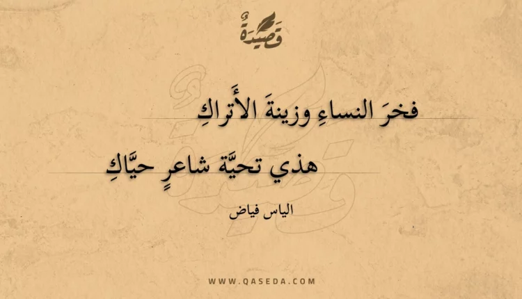 قصيدة فخر النساء وزينة الأتراك