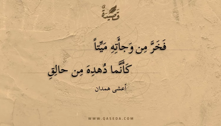 قصيدة فخر من وجأته ميتا