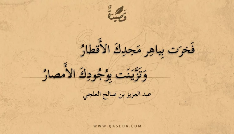 قصيدة فخرت بباهر مجدك الأقطار