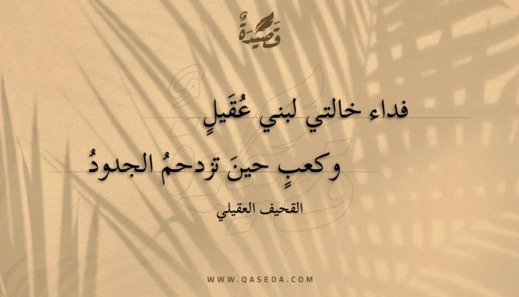 قصيدة فداء خالتي لبني عقيل