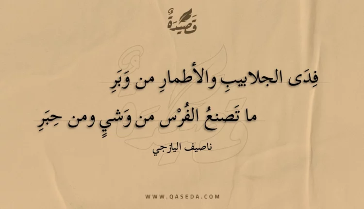 قصيدة فدى الجلابيب والأطمار من وبر