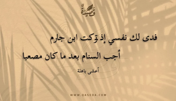 قصيدة فدى لك نفسي إذ تركت ابن جارم