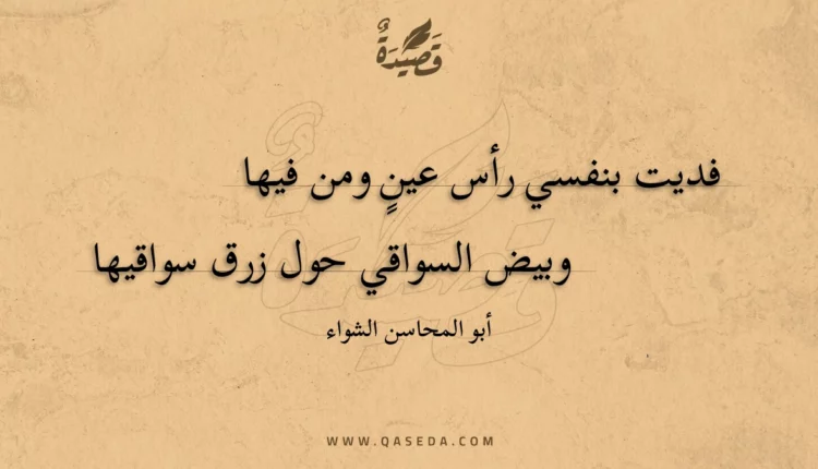 قصيدة فديت بنفسي رأس عين ومن فيها