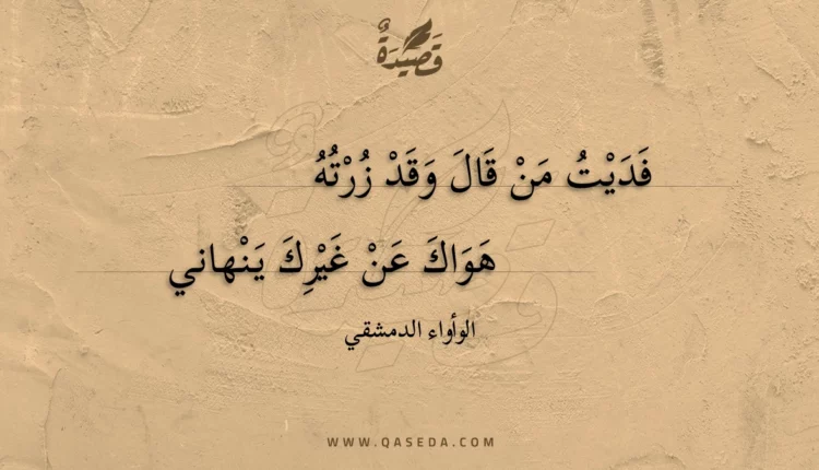 قصيدة فديت من قال وقد زرته