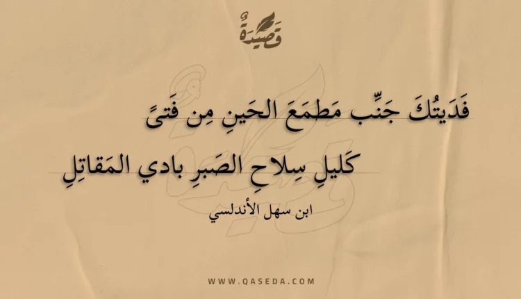 قصيدة فديتك جنب مطمع الحين من فتى