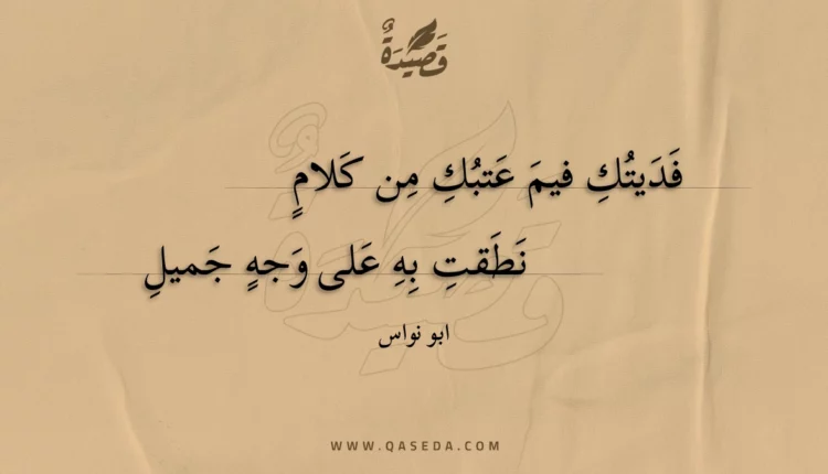 قصيدة فديتك فيم عتبك من كلام