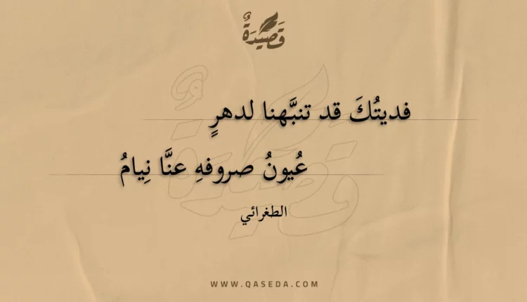 قصيدة فديتك قد تنبهنا لدهر