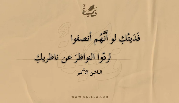 قصيدة فديتك لو أنهم أنصفوا