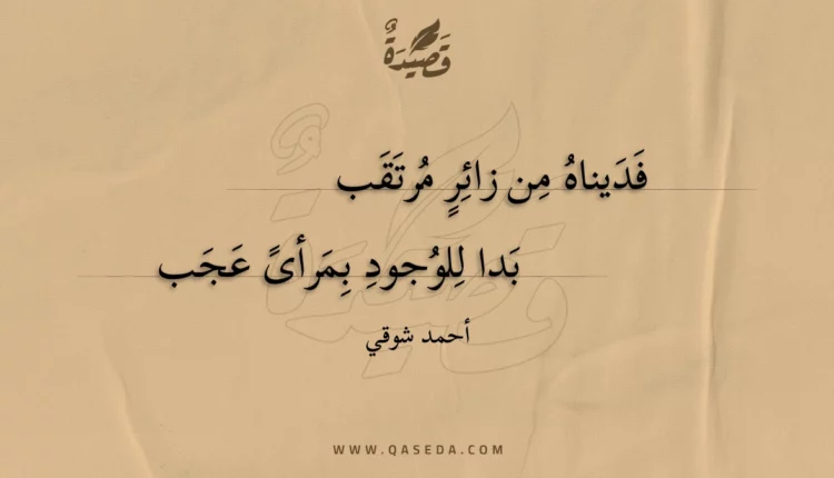 قصيدة فديناه من زائر مرتقب