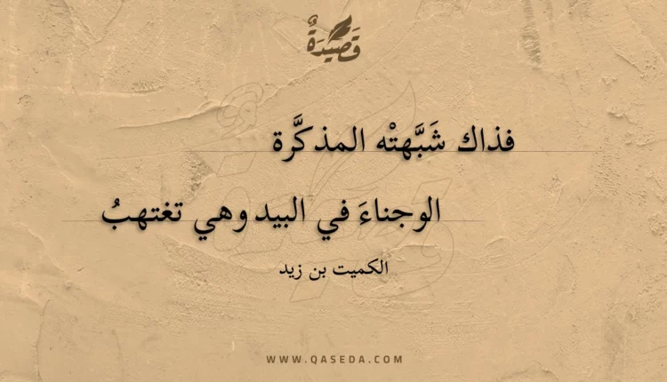 قصيدة فذاك شبهته المذكرة
