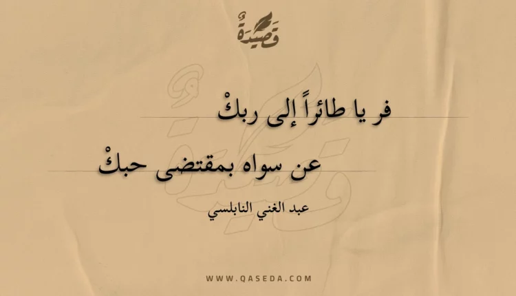 قصيدة فر يا طائرا إلى ربك