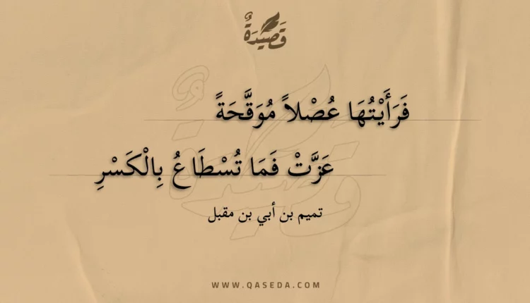 قصيدة فرأيتها عصلا موقحة