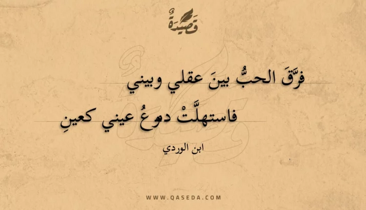 قصيدة فرق الحب بين عقلي وبيني