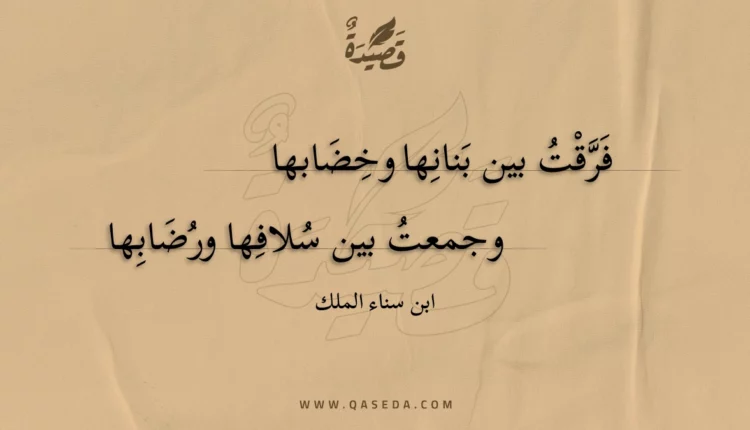 قصيدة فرقت بين بنانها وخضابها