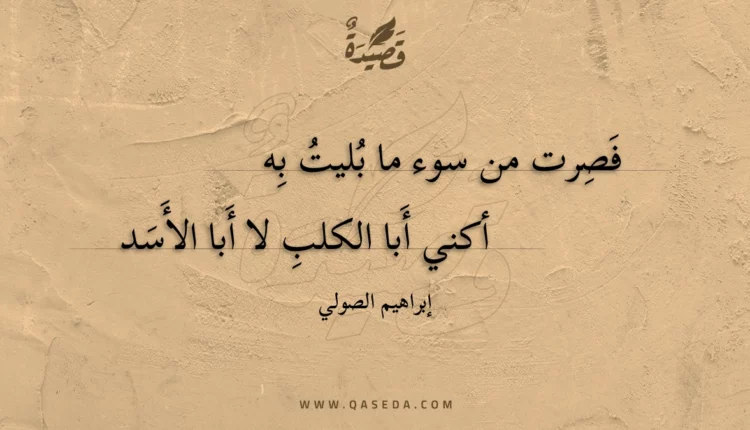 قصيدة فصرت من سوء ما بليت به