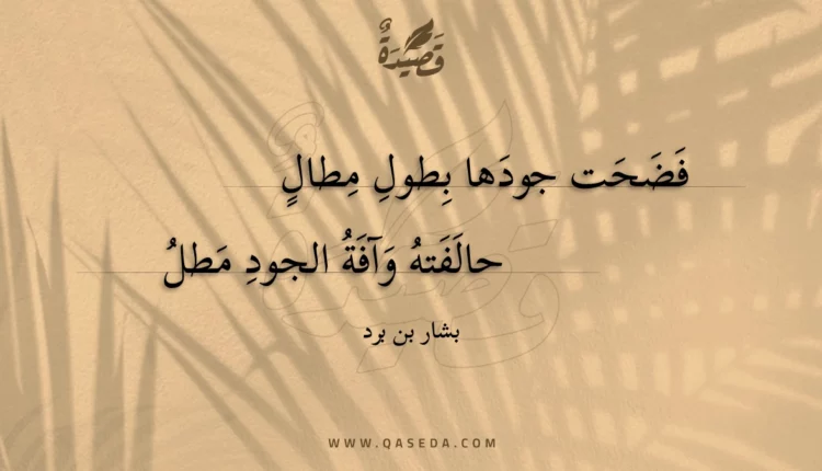 قصيدة فضحت جودها بطول مطال