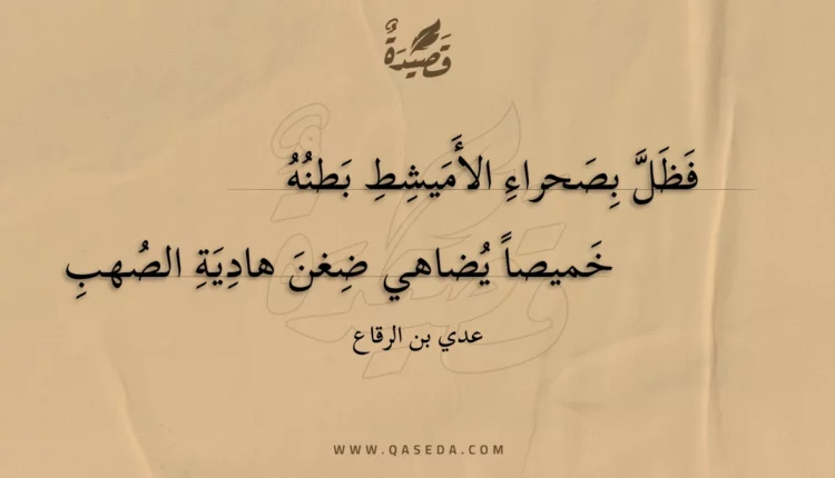 قصيدة فظل بصحراء الأميشط بطنه