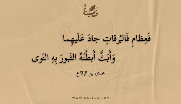 قصيدة فعظام فالبرقات جاد عليهما