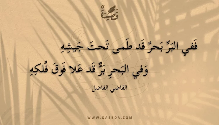 قصيدة ففي البر بحر قد طمى تحت جيشه