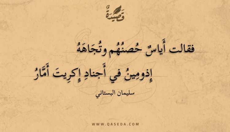 قصيدة فقالت أياس حصنهم وتجاهه