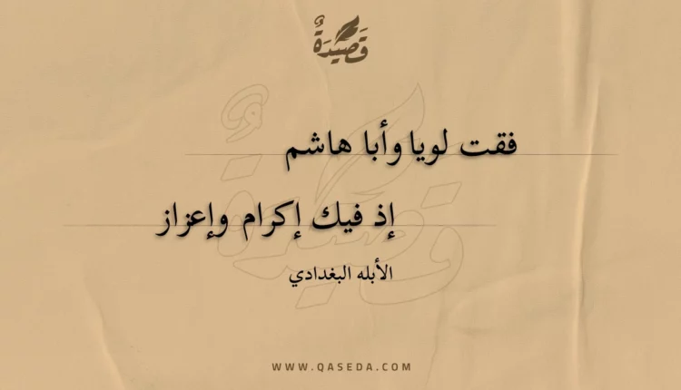 قصيدة فقت لويا وأبا هاشم