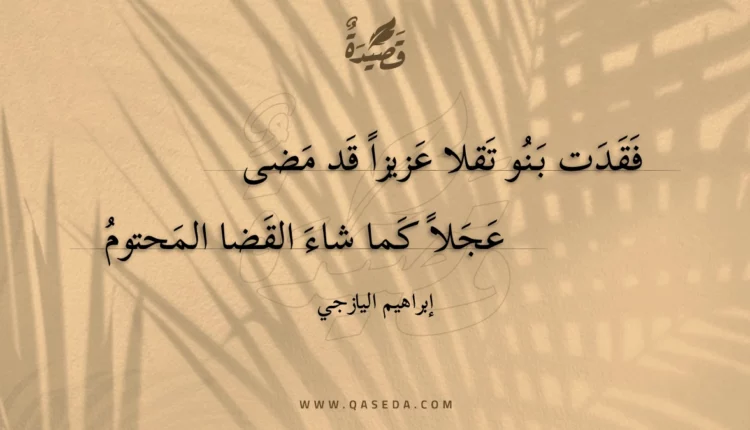 قصيدة فقدت بنو تقلا عزيزا قد مضى