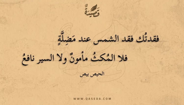 قصيدة فقدتك فقد الشمس عند مضلة
