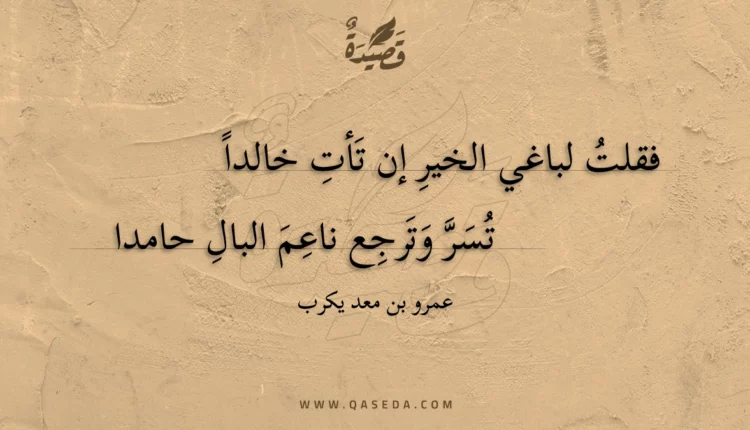 قصيدة فقلت لباغي الخير إن تأت خالدا