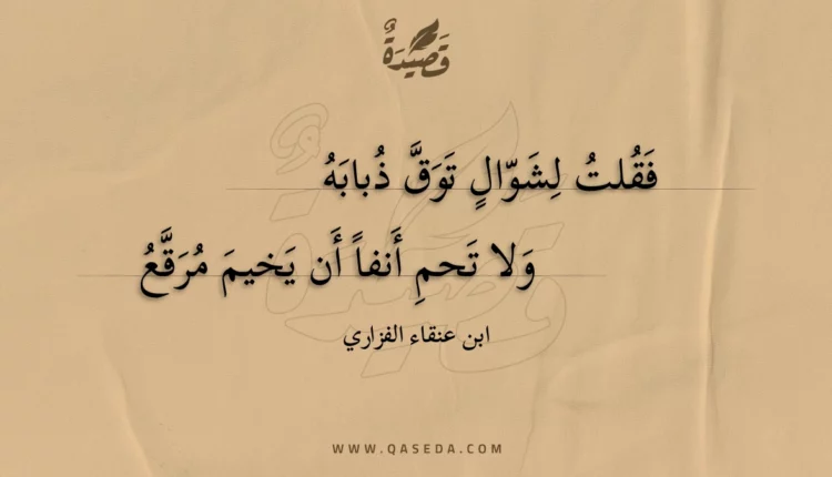 قصيدة فقلت لشوال توق ذبابه