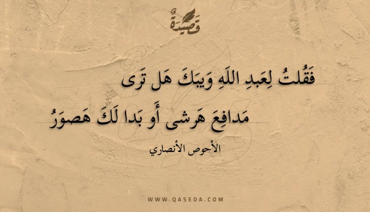قصيدة فقلت لعبد الله ويبك هل ترى