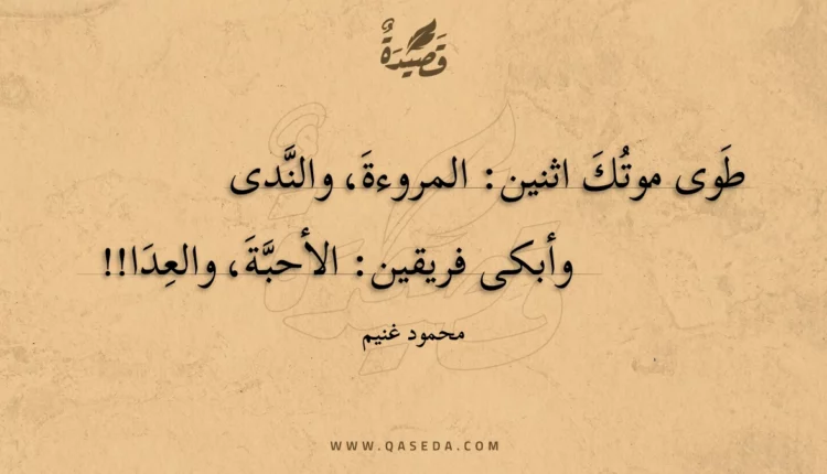 قصيدة فقيد الإسلام