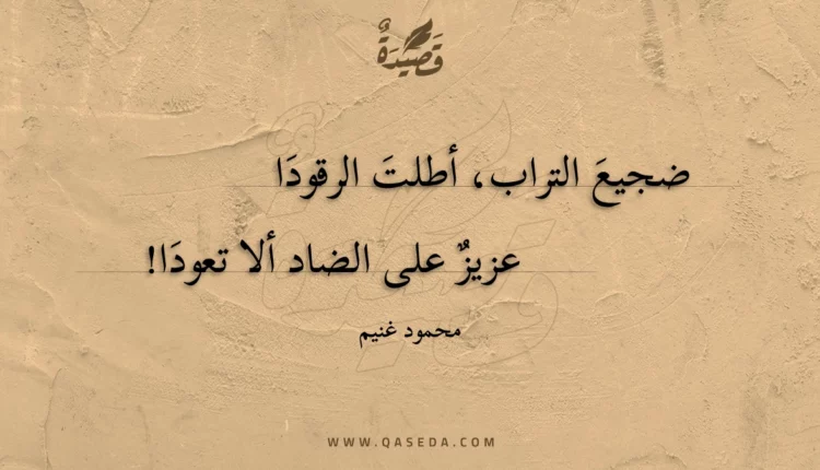 قصيدة فقيد الفصحى