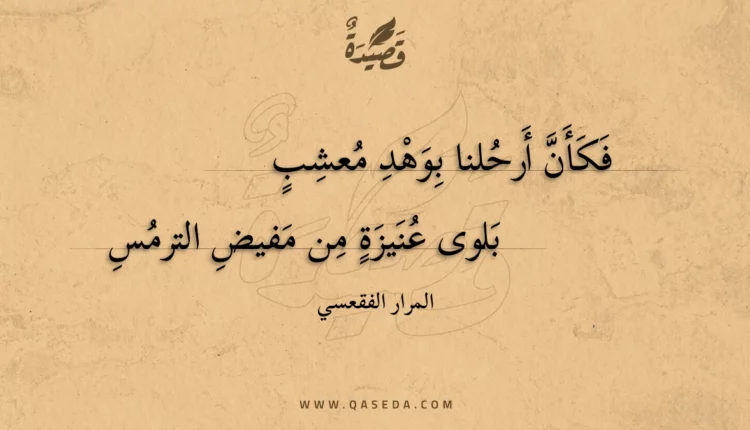 قصيدة فكأن أرحلنا بوهد معشب