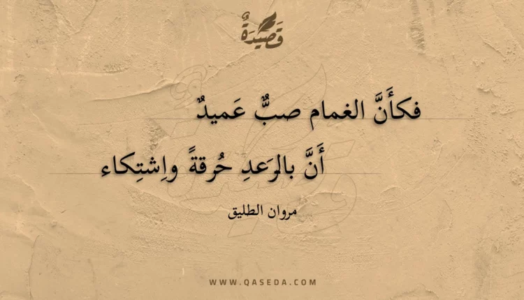 قصيدة فكأن الغمام صب عميد