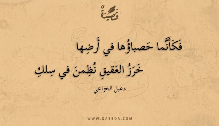 قصيدة فكأنما حصباؤها في أرضها