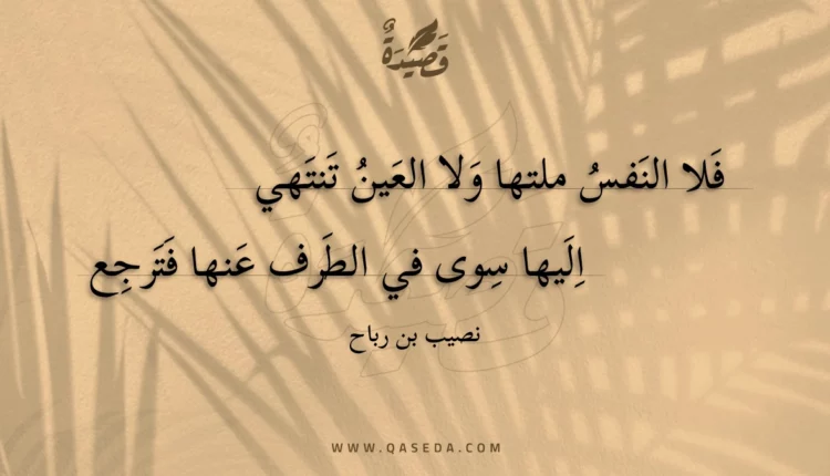 قصيدة فلا النفس ملتها ولا العين تنتهي