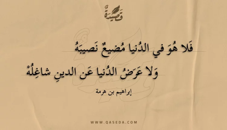 قصيدة فلا هو في الدنيا مضيع نصيبه