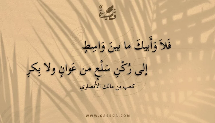 قصيدة فلا وأبيك ما بين واسط
