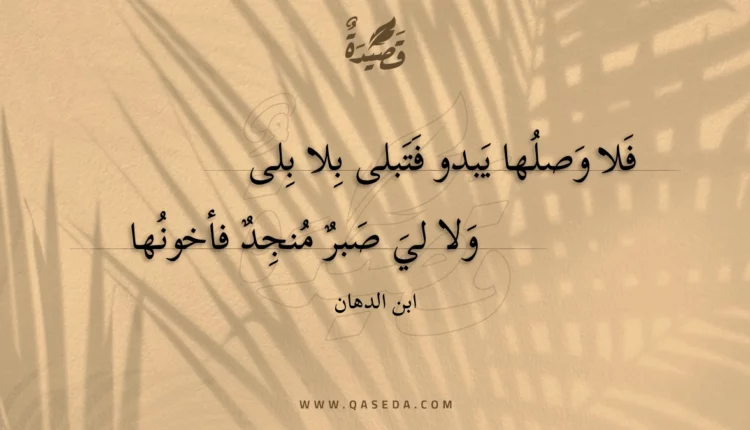 قصيدة فلا وصلها يبدو فتبلى بلا بلى