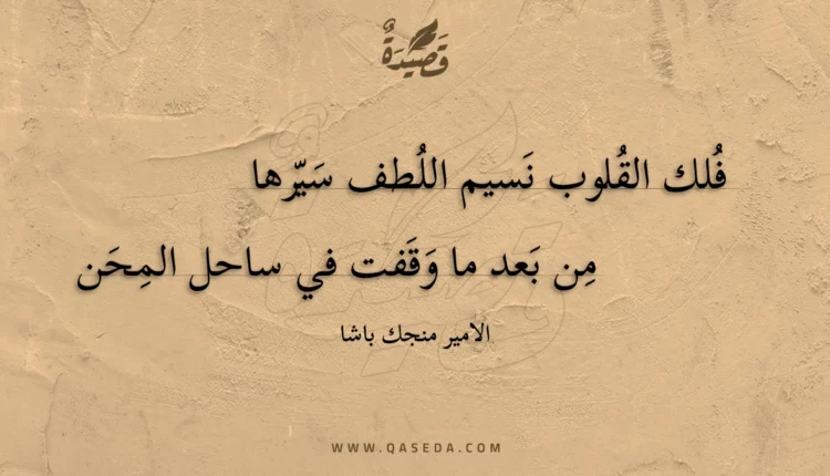قصيدة فلك القلوب نسيم اللطف سيرها