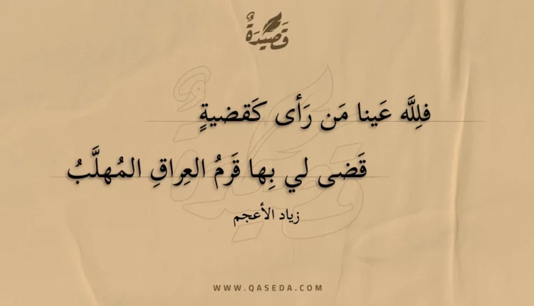 قصيدة فلله عينا من رأى كقضية