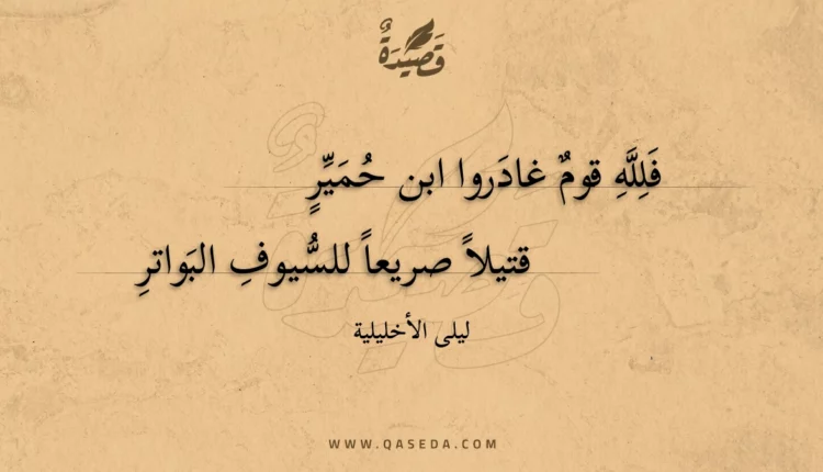 قصيدة فلله قوم غادروا ابن حمير
