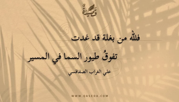 قصيدة فلله من بغلة قد غدت
