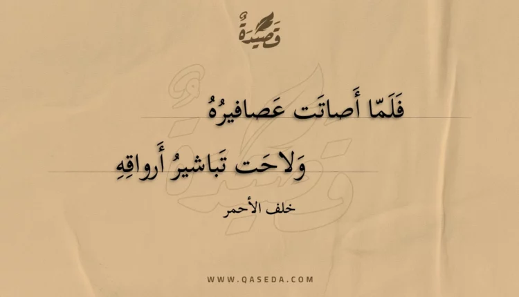 قصيدة فلما أصاتت عصافيره