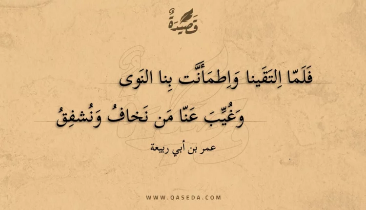 قصيدة فلما التقينا واطمأنت بنا النوى