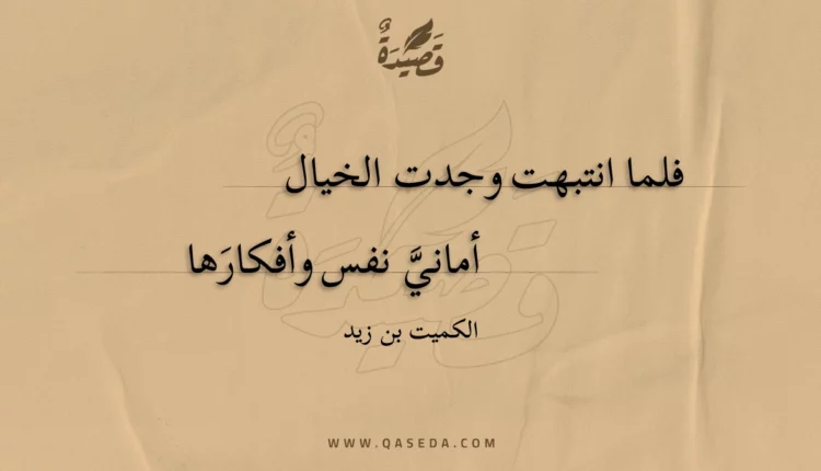 قصيدة فلما انتبهت وجدت الخيال