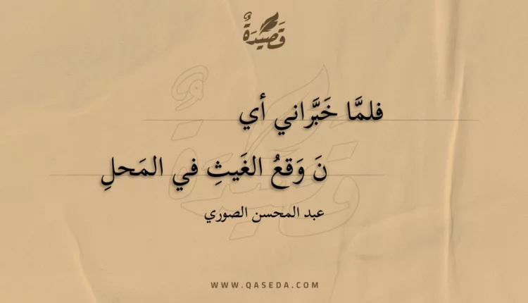 قصيدة فلما خبراني أي